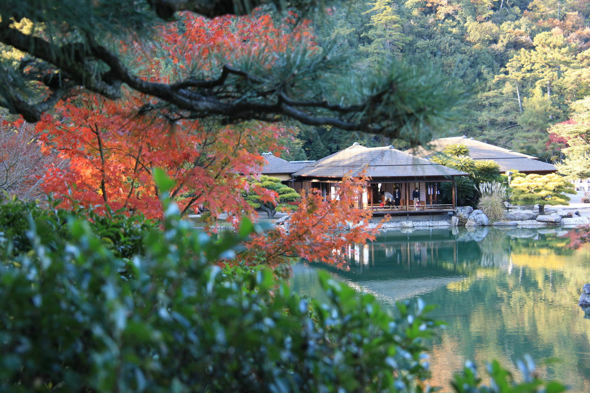 Daiwa Roynet Hotel Takamatsu Exteriör bild